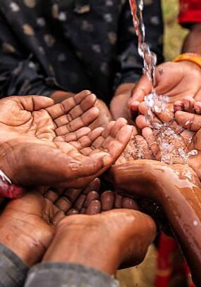 WhatsApp Image 2024-09-29 at 02.21.05_161d5277